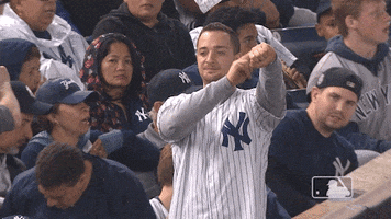 New York Yankees Sport GIF by MLB