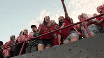 school spirit penguins GIF by Youngstown State University