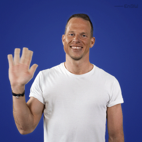 wave hello GIF by EnBW