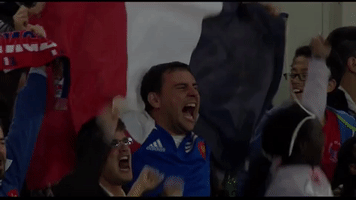 Celebrate France GIF by World Rugby