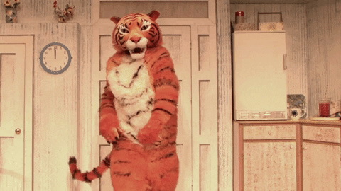 Funny-tiger GIFs - Get the best GIF on GIPHY
