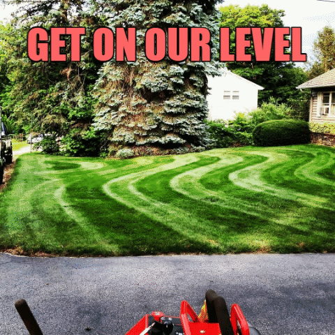 Stripes Gravelystripes GIF