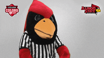 Confused College Sports GIF by College Colors Day