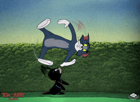 tom and jerry spin GIF