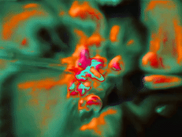 art colors GIF by MFD
