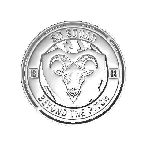 Sports Direct Boots Sticker by SD Football