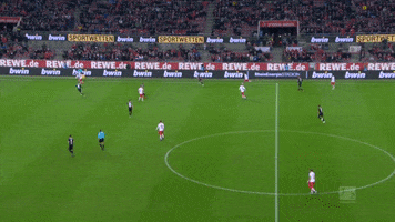 simon terodde soccer GIF by 1. FC Köln