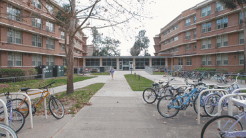 campus uf GIF by University of Florida