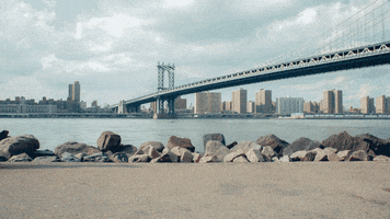 New York GIF