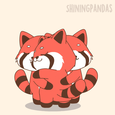Red Panda Hug GIF