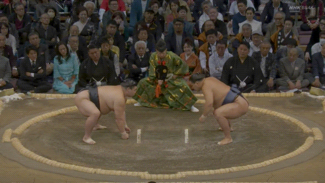 Hoshoryu GIF - Find & Share on GIPHY