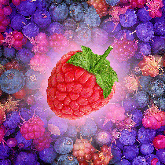 Який твоя улюблена літня ягода