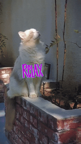 Chill Relax GIF