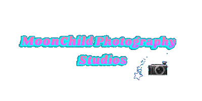 Moonchild Photography Studios Sticker
