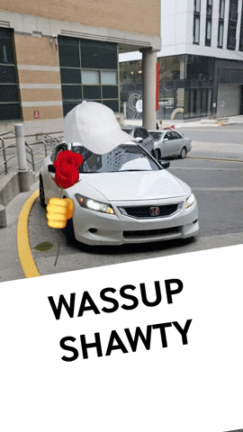 Blanco Propose GIF