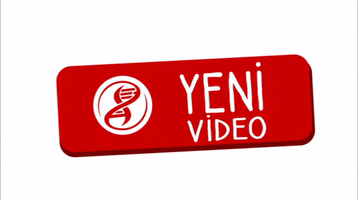 Youtube Video GIF by Evrim Ağacı