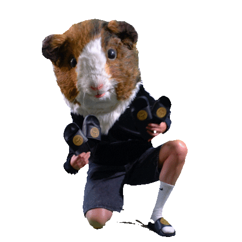 VGN Nürnberg Sticker