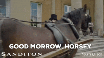 Horsing Around Good Morning GIF by MASTERPIECE | PBS