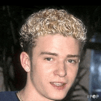 Justin Timberlake Dog GIF by GoPop