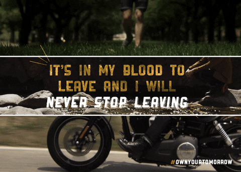 Stop-leaks GIFs - Get the best GIF on GIPHY