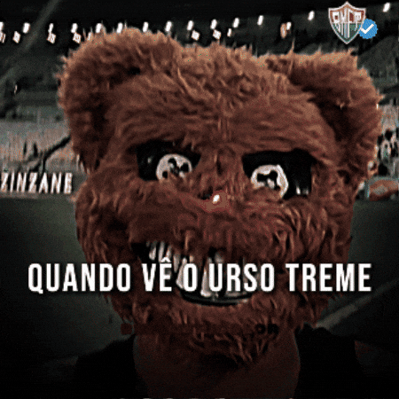 Fluminense GIF