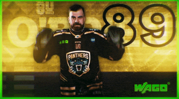 Ice Hockey GIF