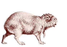 Beestig Jeugdwerk Gent Sticker