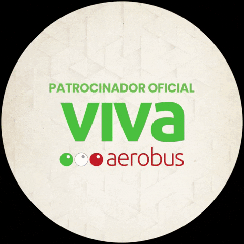 Festival Coronacapital GIF by Viva Aerobus
