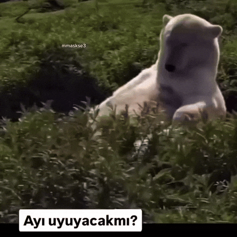 Bear GIF by UGCPazar