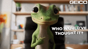 Who Knew Reaction GIF by GEICO