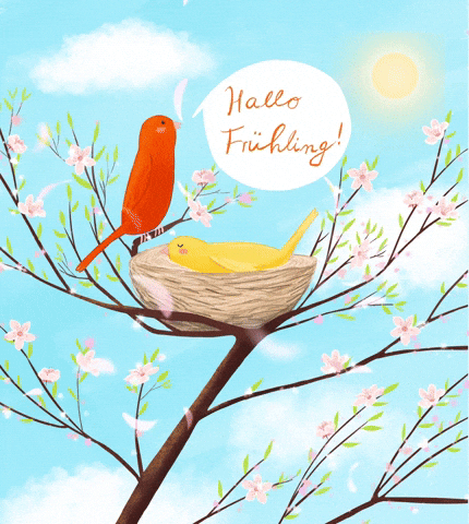 Birds GIF