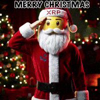 Merry Christmas GIF by SaluteXRPL