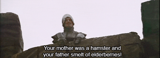 monty python and the holy grail insult GIF