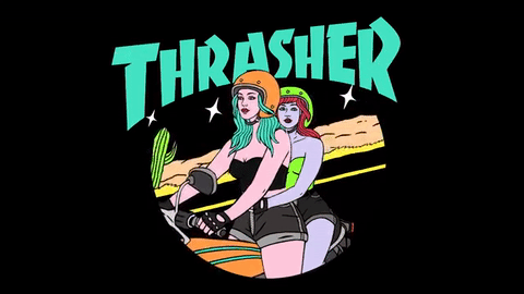 thrashers meaning, definitions, synonyms