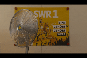 Cool GIF