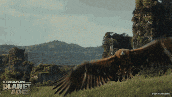Planet Of The Apes Eagle GIF by 20th Century Studios