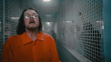 GIF by Cigarettes At Sunset
