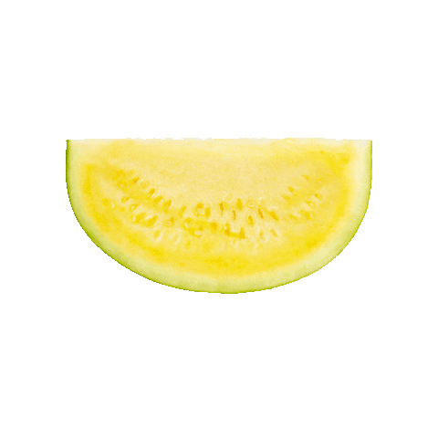 Melancia Pingo Doce Sticker