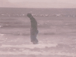 200.gif?cid=fc005b080d883979e415206b8d878800b84cf45b327f4ade&rid=200.gif&ct=g