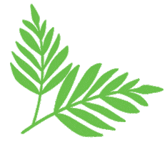 Rarestkind Sticker by Erstwilder