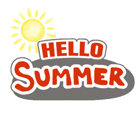 New York Summer Sticker by Camp Chipinaw