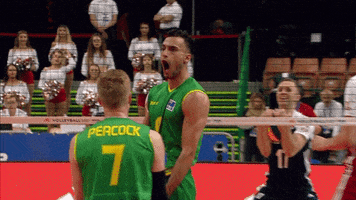 Happy Go Crazy GIF by Volleyball World
