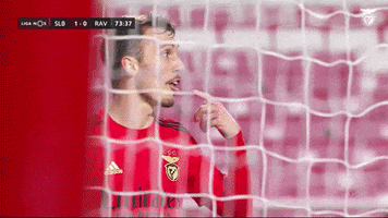 Sl Benfica Slbgif GIF by Sport Lisboa e Benfica