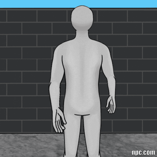 Wall GIF