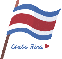 America Love Sticker