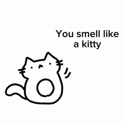 Cat Kitty GIF
