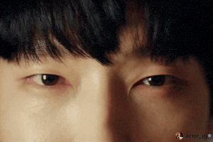 Flower Of Evil Jg GIF