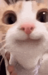 Happy GIF