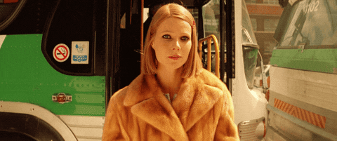 Wes Anderson Indie GIF by Coolidge Corner Theatre - Find & Share on GIPHY