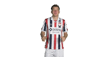 Kingside Sticker by Willem II